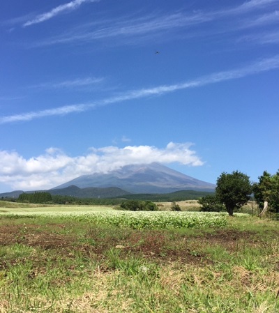 そばと富士山.jpg