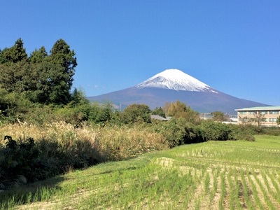 富井医院からの富士山.jpg
