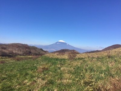 箱根からの富士山１.jpg