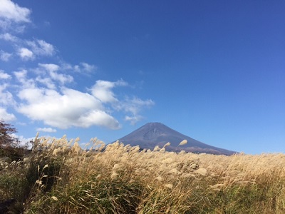 薄と富士山２０１７.JPG