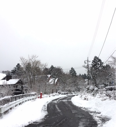 雪景色１．２３.JPG